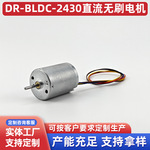 DR-BLDC-2430直流无刷电机破壁机料理机磨甲器自动皂液器专用电机