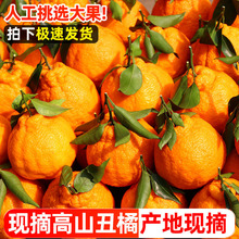 2026�Ĵ����ڳ��ٲ�֪��������r����ˮ���������θɳ�˹����ӽ�