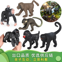 ���惺ͯ���Ą���ģ���������ﱳ�̺�����ë��ɽ�̺������b�[��