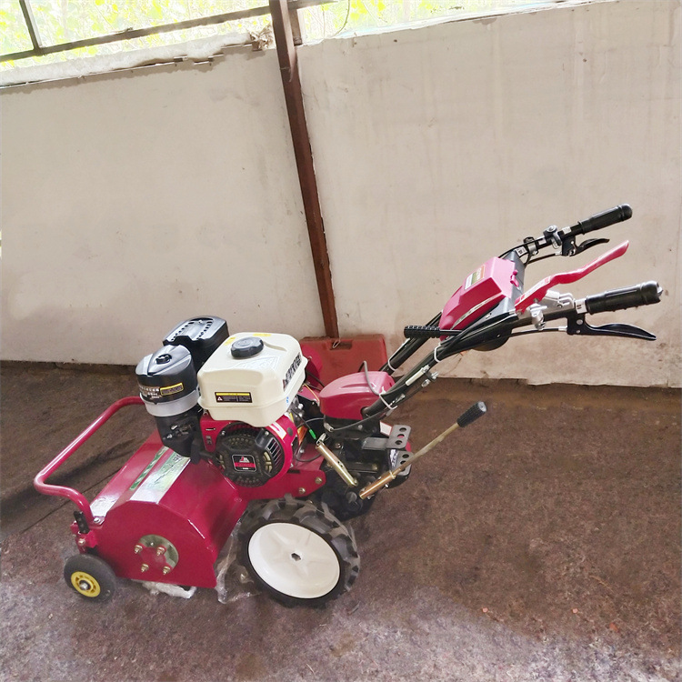 小型轻便除草碎草机 山东手扶杂草快速灭草机 轻型牧场打草碎草机