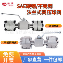 304PBKH-SAEm߉ySAEmKHB-SAE-F6 F3 mA