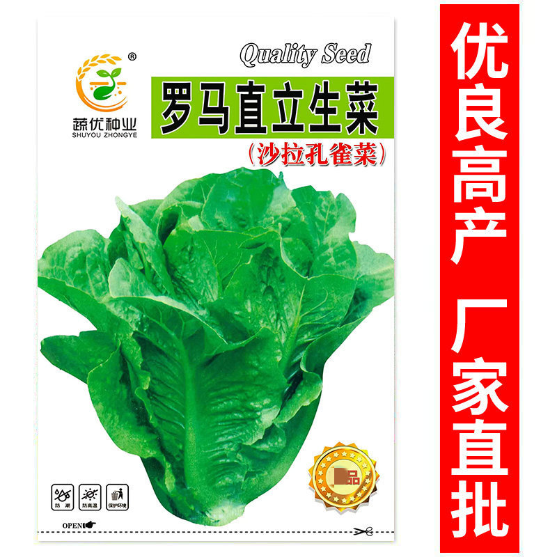 Manufacturer Wholesale Salad Lettuce Seeds 5g Crispy Sweet Roman Upright Lettuce Seeds Balcony Vegetable Garden Vegetable Seeds