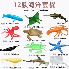 12款仿真软胶海洋生物儿童玩具模型海洋世界鲨鱼鲸鱼海龟海星批发