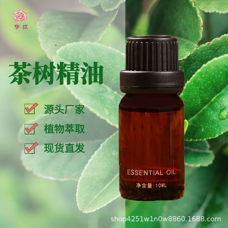 茶树精油澳大利亚产区精油单方精油原料批发芳疗按摩舒缓安抚|undefined