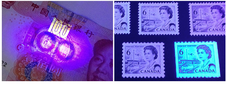 High-power Woods' purple flashlight 365nm UV identification tobacco and wine anti-counterfeiting fluorescent agent cat ringworm detection lamp
