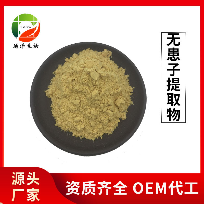无患子 无患子提取物10:1 无患子粉食品原料 无患子提取