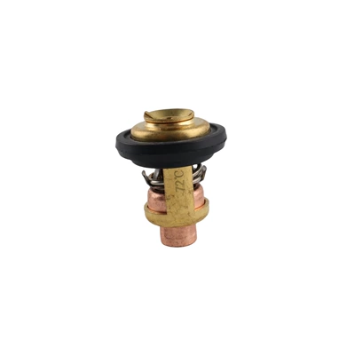 Motor 50-130Hp Thermostat – Cylinder and parts
