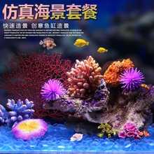 鱼缸珊瑚造景全套餐组合水族箱海水装饰贝壳假水草珊瑚礁布景