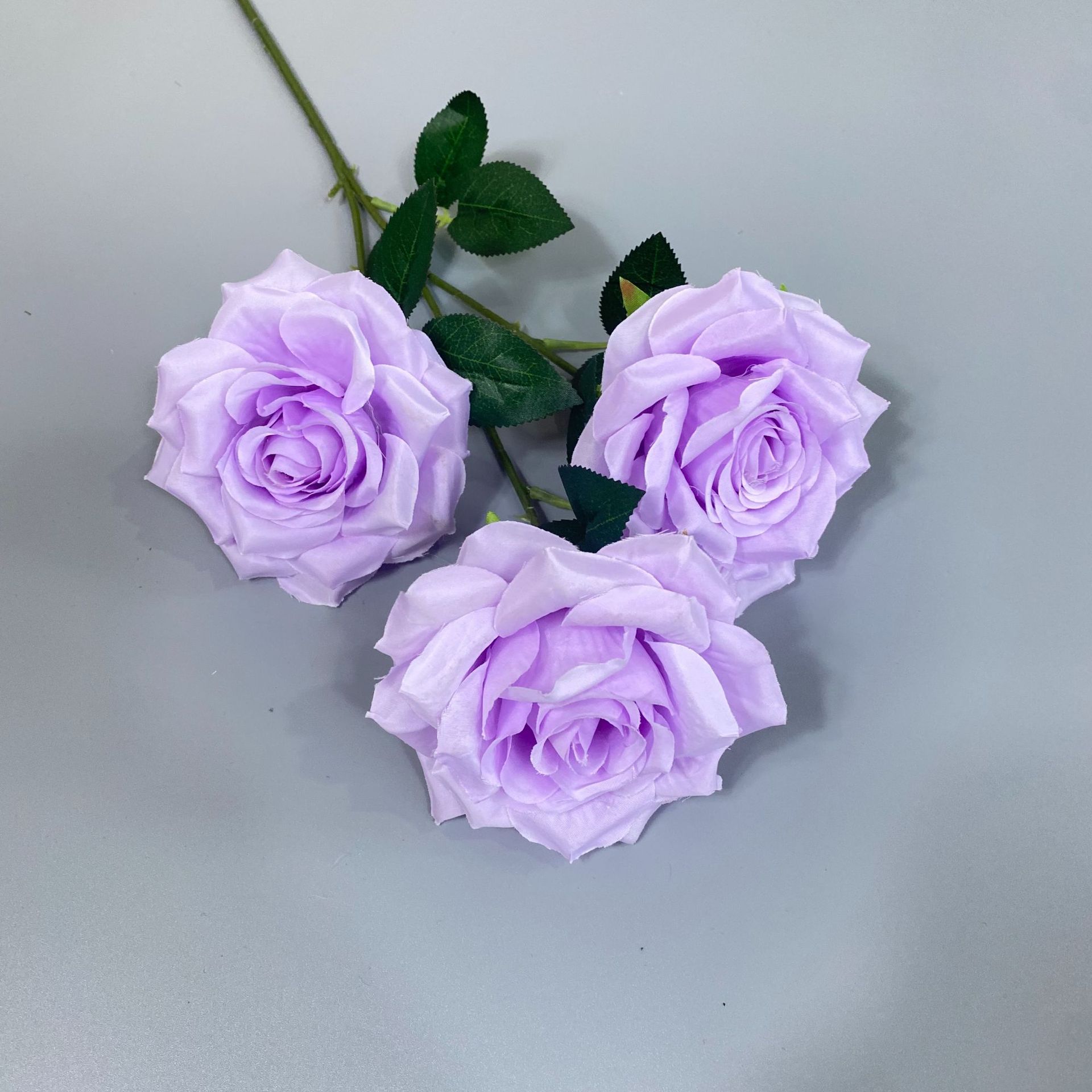 보라색 잎 없음