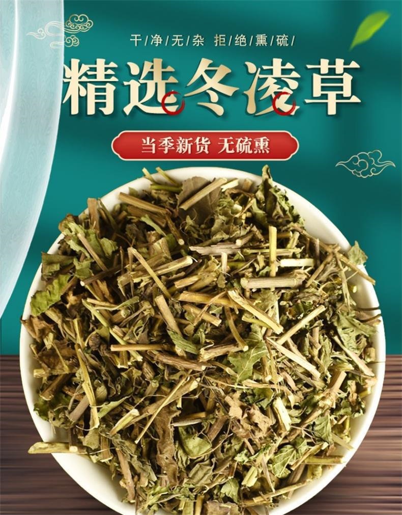 Dried Rabdosia Rubescens Tea Dong Ling Cao Herbal Infusion 500g Sun Dried Hebei Origin overview