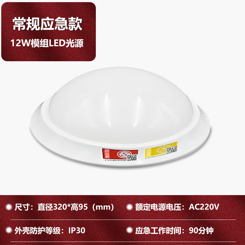 조명 + 비상(권장)