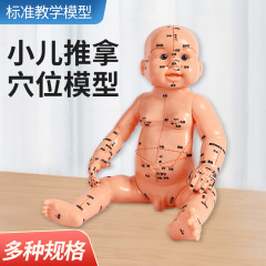 子供のマッサージの模型のシミュレーションの子供の漢方医の赤ちゃんの月の兄嫁のツボの育成訓練の教育は赤ちゃんの模型の卸売りをマッサージします。