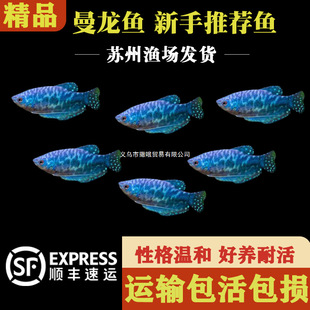 С���^�p�~�{�����~�S������������~��ˮ�~���B�ͻ�����Ꭷ�~