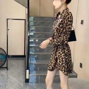 ���㷶�p���L�r�б��y�B��ȹ�r��ȹ2025�����¿���|�@����ϵ��