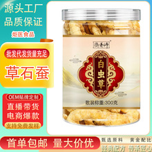 ��Ʒ���x�ݵ��Q���l300gƿ�b��ʯ�Q�׶��x���x�݅��؅����ș��