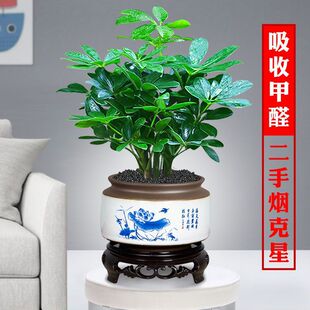 ���~ɏ�����҃����_ľ�辰�͏d�˷���ؔ�ļ�����Gֲ�Ϙ�����ֲ��