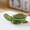 Little turtle seaweed green
