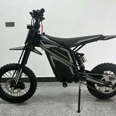 Amazon's best-selling vehicle, Elektrikli motosikletlər