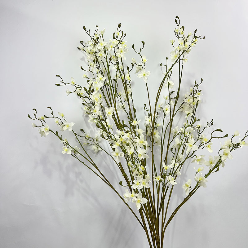 White edge