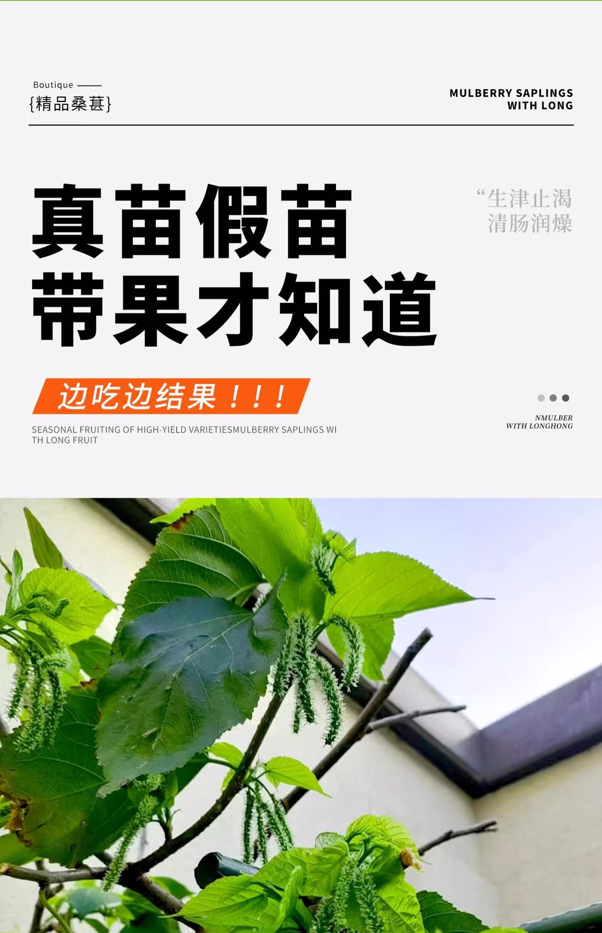 O1CN01K9esUA1KQs65WVa5y_!!2219532571159-0-cib.jpg?sign=583921_Mzg0OTAxODQ5