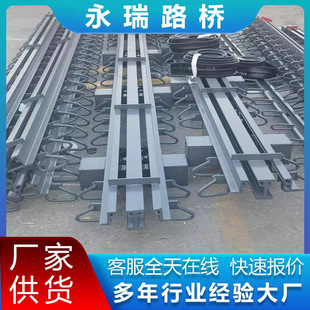 Highway Bridge Expansion Joint Modular Road Deformation Joint C- type E-type Expansion Joint Special-shaped Steel Muller Expansion Joint