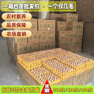 �������l480ö���u���������r�F���r��ɢ�B���u�����uƷ�|����