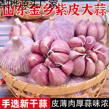 ɽ�|���l��Ƥ�����^�N�Ӹ���N��5�����l���r���^10���r������