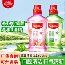 ��¶������ˮ500ml�����������¿ښ������yƿ�b 99.9%�p��0�ƾ�