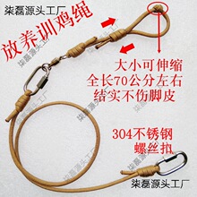 �����߲ʼҼ�ý˨���������ӳ�70���׹̶�׮ԭ��ú�����8�ֻ�