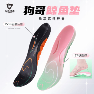 �L�~�|Ь�|TPU�㹭֧���\�ӻ؏���������͸��drˮ��ɫ��ɫ�tɫ