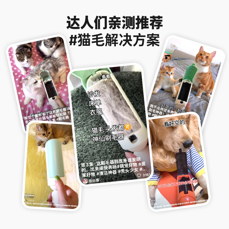 Cepillo de pelo pegajoso para gatos, depilador de pelo para mascotas, cama, cepillos de alfombra, afeitado, despilador de perros y gatos, suministros para mascotas