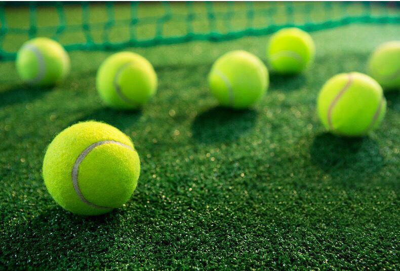 网球高弹性初学者耐打训练耐磨初中级比赛按摩玩具宠物球一件批发详情41