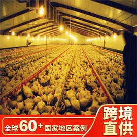 钢结构;集成房屋;温室、大棚