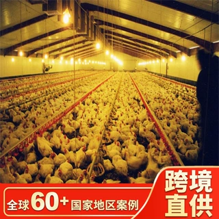 模块化预制钢结构鸡舍 组件标准化 海运成本低 现场拼装快捷