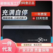 Ӣl늄܇ƿ48V12AH20AH60V80V72݆܇Ր̨۬