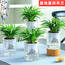 ߅Сml90#110#ˮm҃ȃ՚ֲﻨ