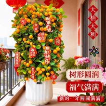 �ļ���ۘ����Ԏ��������������^����Ә�Gֲֲ���҃ȴ��Ϳ͏d