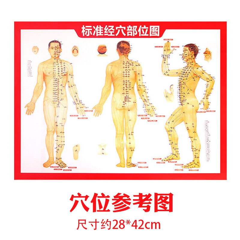 灸の箱の懸灸の筒のゴムのシールは身につけて灸の家庭の灸の桶の低い敏感なシールの小さい灸の缶を貼ります。|undefined