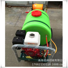 科瑞手推式消毒设备 拉管式远喷射汽油打药机 园林路盘树篱喷雾机