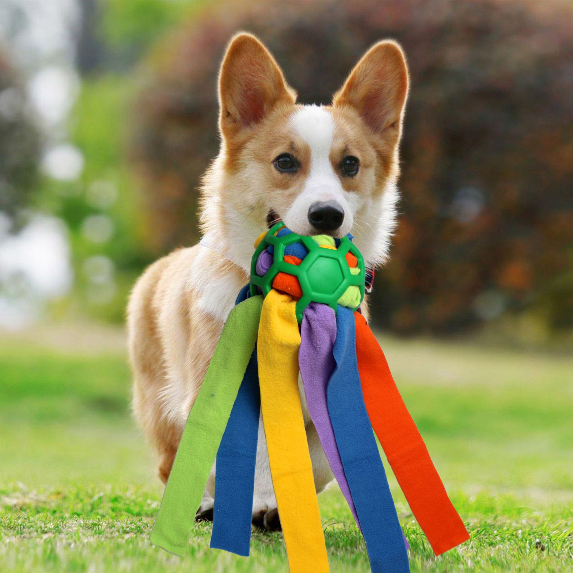 Haustierspielzeug, Schnüffelbälle für Haustiere, Blindbox für das interaktive Training mit Futterleckage für Hunde_voghion.com