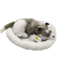 �Թ�؈�ƹ�ʿ���_ĦҮ��ëȮܛ�w����������؈ë�q��߶Y��