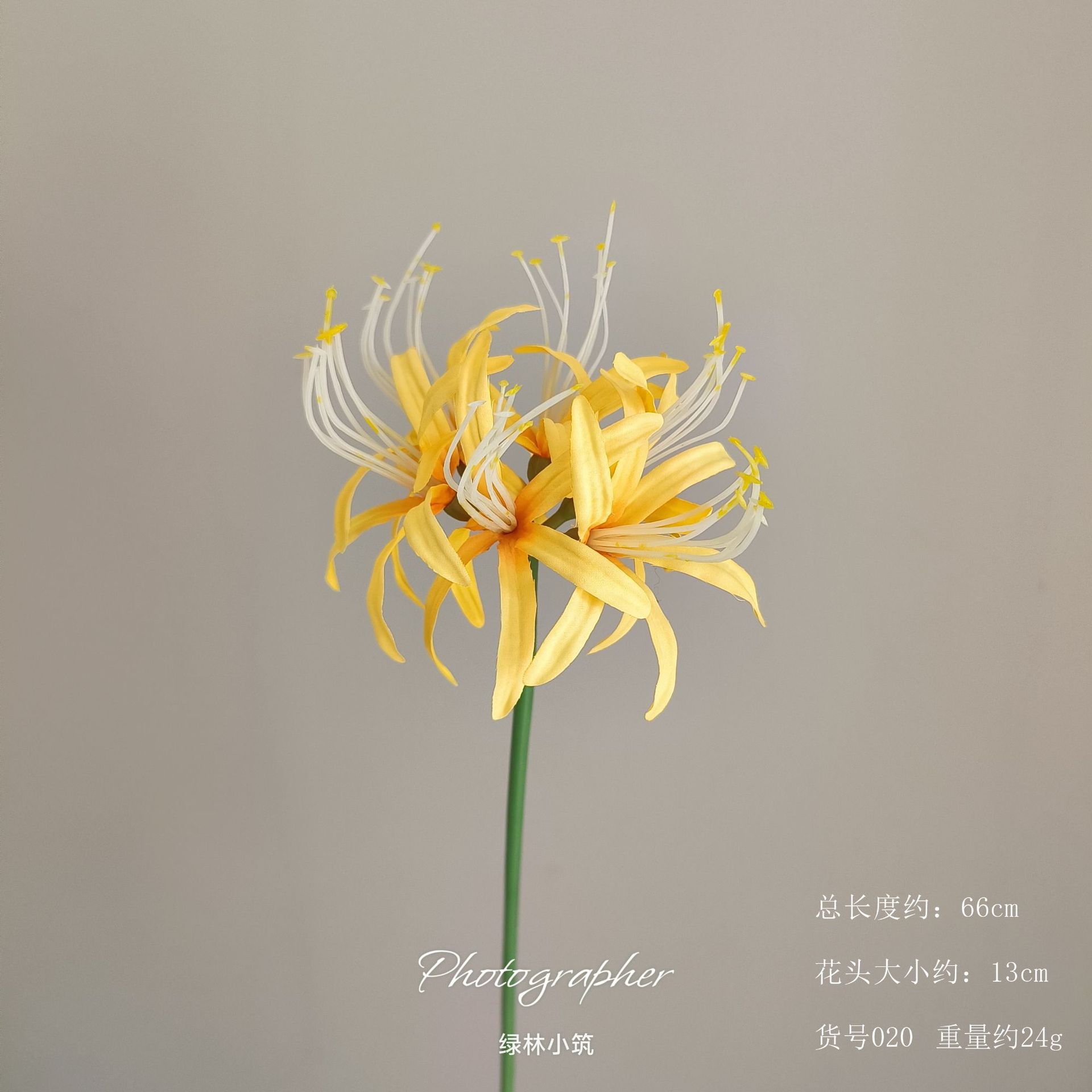 품목번호 20-만주샤화-오렌지