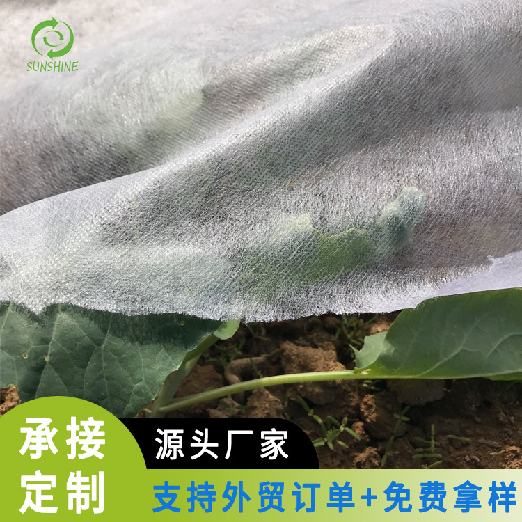 现货供应农业接驳抗老化纺黏无纺布保温保湿覆盖接驳抗老化无纺布