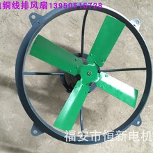 厂家直供工业轴流式排风扇，排气扇  脱水烘干排气扇 1100W