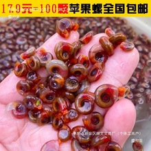 ʢ��s�t�ݹ����ݳ����݌��������^����Ȼ���w�D��ˮ�匙���