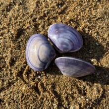 ��Ȼ����ؐ���۸���Ҹ��ؐ�����~��ˮ���쾰�ҾӔ[���Ĕz������