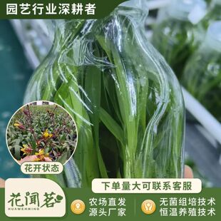 �л������m 0825 �S؈ƿ��M�����״���҃������Ի�������r��