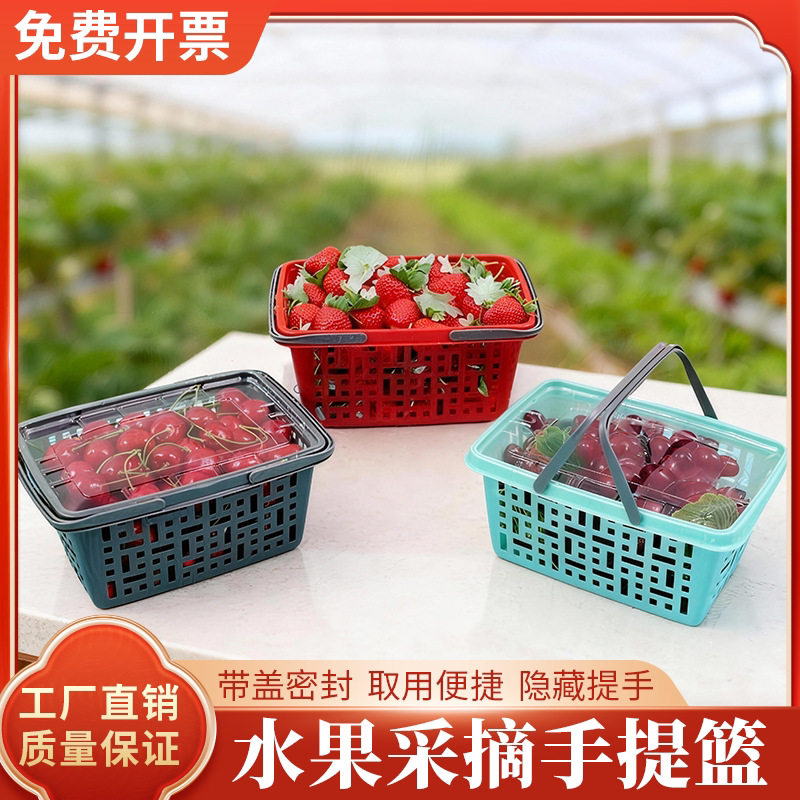 塑料水果篮蔬菜篮一次性草莓篮子樱桃葡萄鸡蛋桑葚杨梅手提蓝
