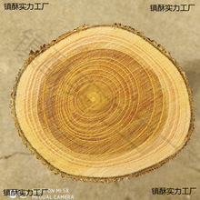 野生柘木原木料北方柘木穿破石DIY手工硬木雕刻实木料柘木棍弓料