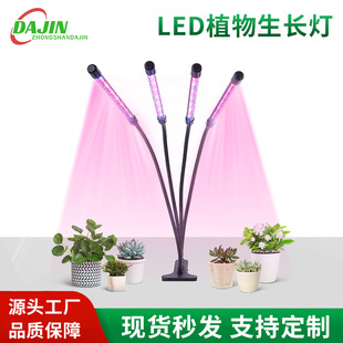 ȫ���V��ɫ����ֲ����҃�ֲ�����L������Nֲ�a����L�l�A�ӿ�